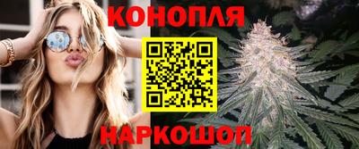 твердый Лесосибирск