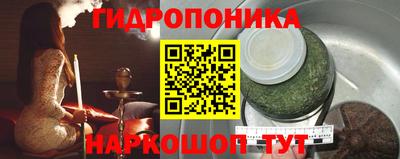 твердый Лесосибирск