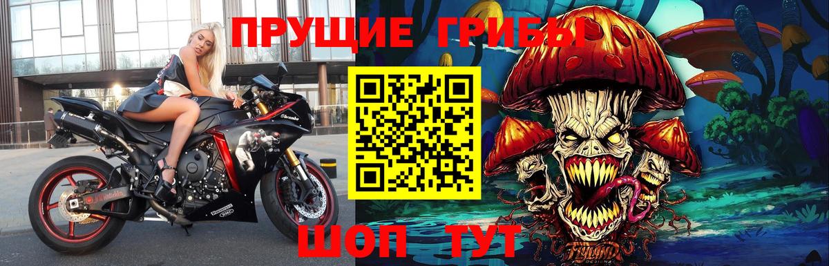 Псилоцибиновые грибы MAGIC MUSHROOMS  Вход с VPN  Чехов 